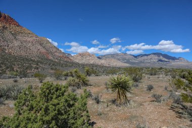Red Rock Canyon - Nevada doğal koruma alanı. Las Vegas yakınındaki Milli Parkı.