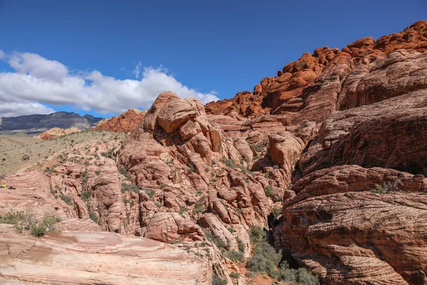 Red Rock Canyon Naturliga Naturskyddsområde Nevada National Park Nära Las — Stockfoto