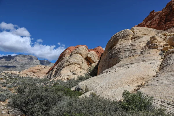 Red Rock Canyon Área Natural Conservación Nevada Parque Nacional Cerca —  Fotos de Stock
