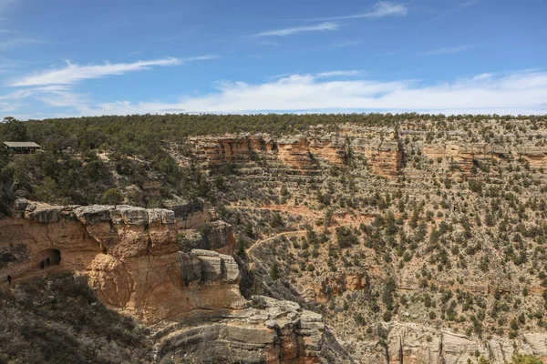 Südrand Des Grand Canyon Der Nähe Des Grand Canyon Dorfes — Stockfoto