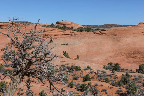 Parque Nacional Arcos Utah —  Fotos de Stock