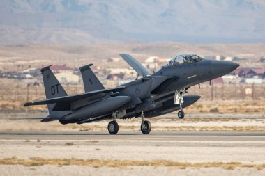 Las Vegas, ABD - 15.2019 F-15 Strike Eagle Nellis Hava Üssü 'ndeki Hava Ulusu Hava Gösterisi sırasında ABD' nin Las Vegas şehrinde 15.11.2019