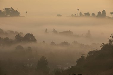 Los Angeles, ABD - 13.11.2019 Griffith Park 'tan Gün Doğumu 13.11.2019, ABD