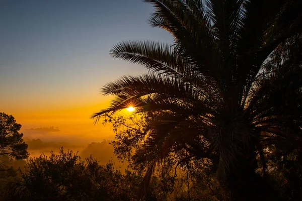 Los Angeles Stany Zjednoczone 2019 Wschód Słońca Griffith Park 2019 — Zdjęcie stockowe