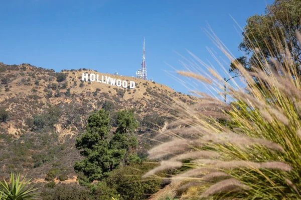 Los Angeles Stati Uniti 2019 Hollywood Firma Los Angeles 2019 — Foto Stock