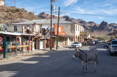 Oatman, ABD - 14.2019 Tarihi Kasaba Oatman, Arizona 14.11.2019, ABD