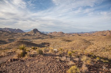Oatman Otoyolu, ABD - 14.2019 Oatman Otoyolu, ABD - 14.2019 Oatman Otoyolu, ABD