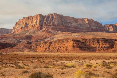 Arizona, ABD - 18.11.2019 Vermilion Cliffs Ulusal Anıtı 18.11.2019 Arizona, ABD