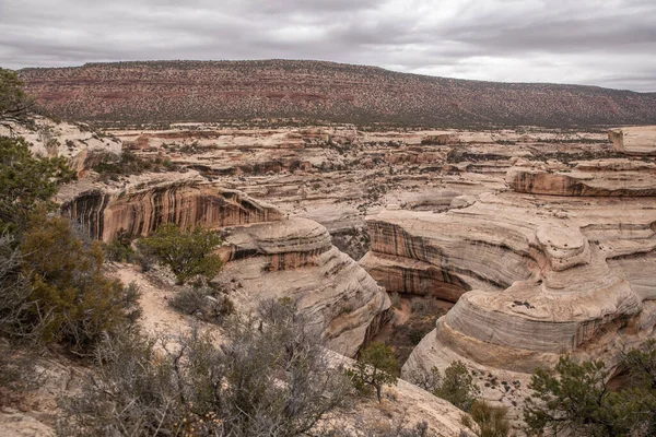 Utah United States 2019 Natural Bridges National Monument 2019 Utah — Stock Photo, Image