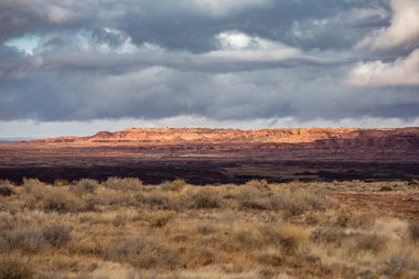 Arizona, ABD - 21.2019 Petrified Forest National Park 21.2019, Arizona, ABD