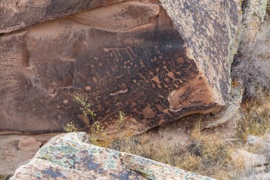Arizona, ABD - 21.2019 Petrified Forest National Park 21.2019, Arizona, ABD