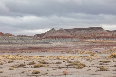Arizona, ABD - 21.2019 Petrified Forest National Park 21.2019, Arizona, ABD