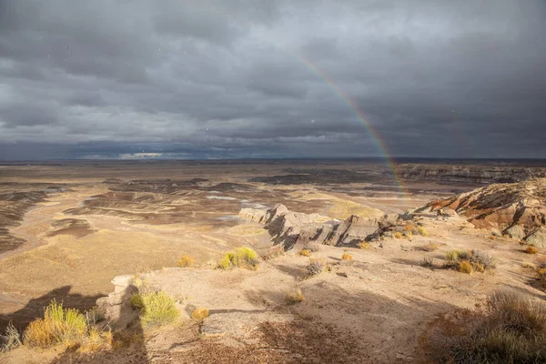 Arizona United States 2019 Petrified Forest National Park 2019 Arizona — Stock Photo, Image