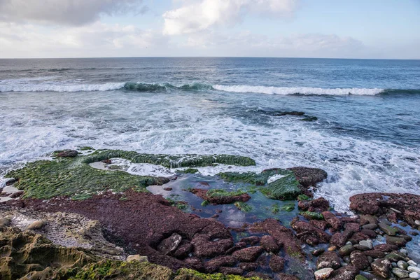 San Diego Usa 2019 Jolla Cove Cliffs San Diego 2019 — Stockfoto