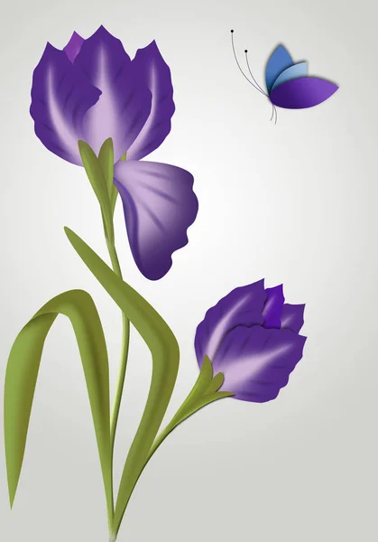 Flor púrpura y mariposa  . — Vector de stock