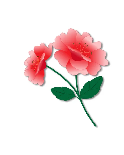 Branch of roses . — Stock Vector