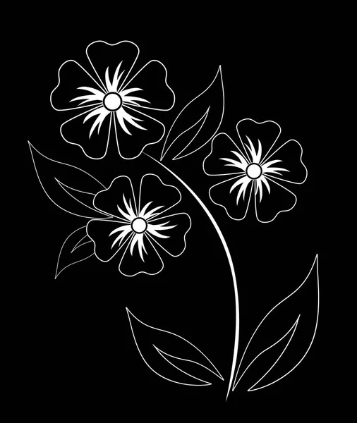 Black background with white flowers. — Stock Vector