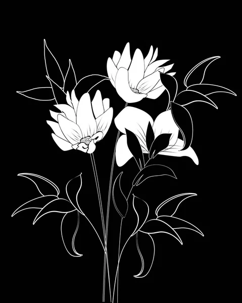 흰색 꽃으로 검은 배경 — 스톡 벡터