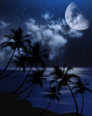 ay ve palmiye ağaçları ile deniz manzara. 