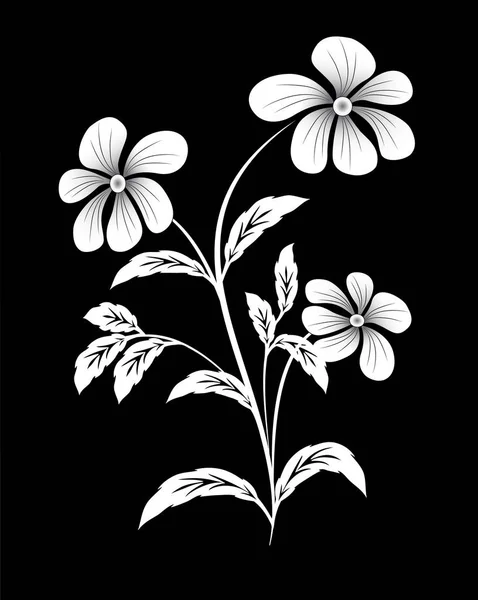 Bunga putih pada latar belakang hitam - Stok Vektor