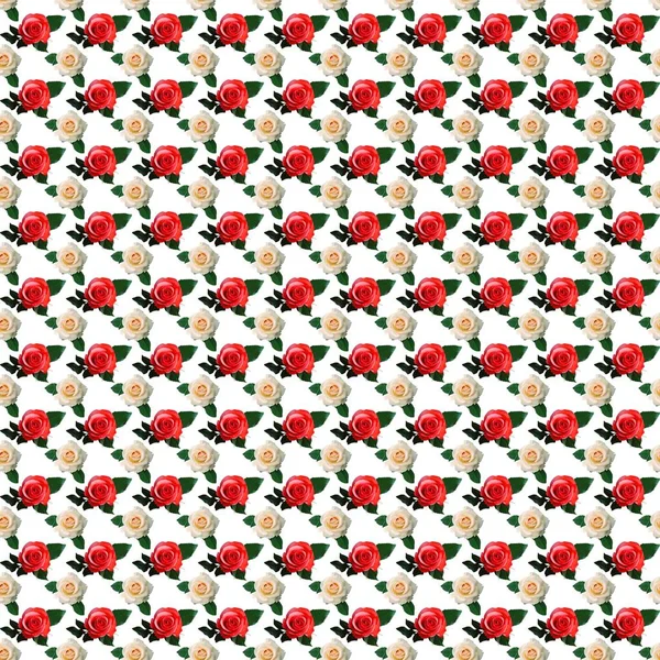 Çiçek desenli pembe ve kırmızı gül beyaz zemin üzerine yapılan