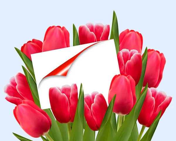 Gift Card Tulips — Stock Photo, Image