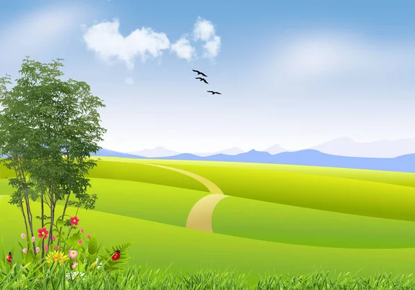 Naturaleza Fondo Primavera Con Hierba Verde Flores — Vector de stock