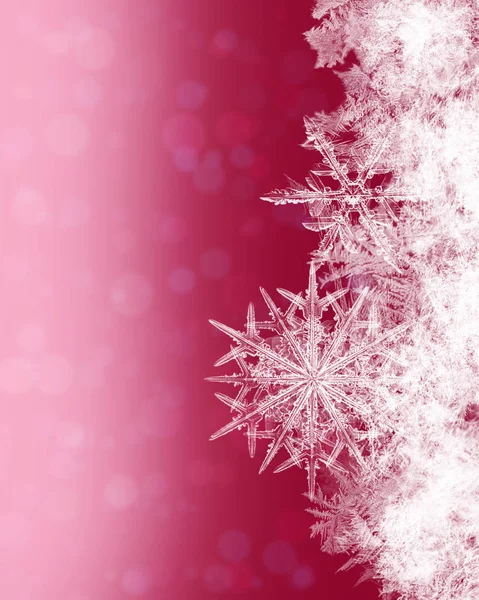 Χειμώνα Φόντο Snowflakes Κρυστάλλου — Φωτογραφία Αρχείου