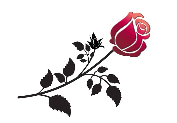 Rosa Con Foglie Bocciolo — Foto Stock