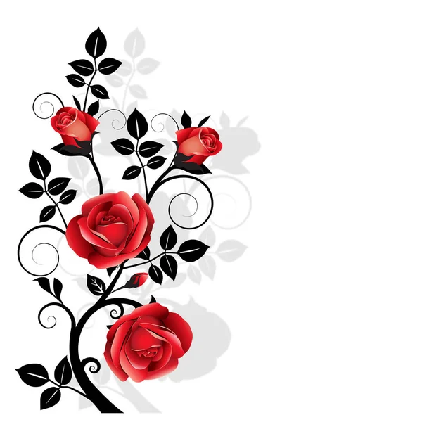 Decorazione Floreale Ornamento Con Rose Rosse Con Riflesso — Foto Stock