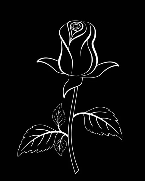 White Silhouette Rose Black Background — Stock Photo, Image