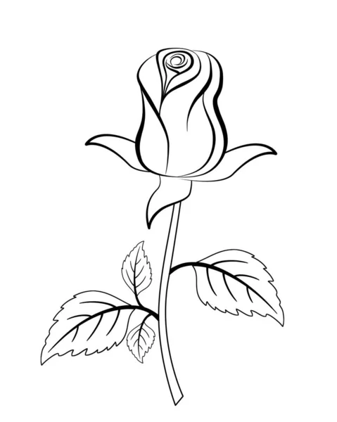 Black Silhouette Rose White Background — Stock Photo, Image