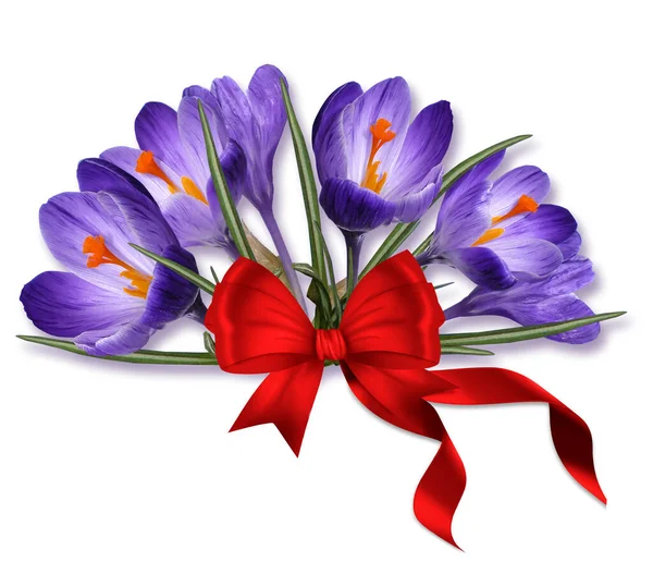 Bouquet Blue Crocuses Red Ribbon — Stock Photo, Image