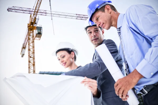 Geschäftsmann erklärt Kollegen Bauplan — Stockfoto