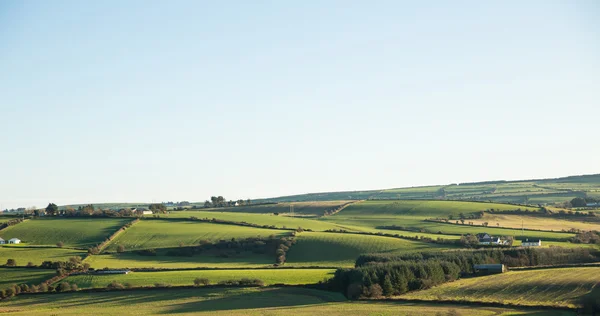 Open landschap over heldere hemel — Stockfoto