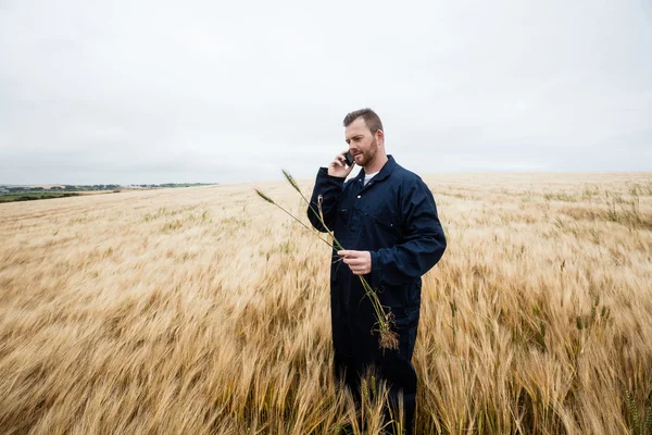 Jordbrukaren att undersöka grödor medan du talar i telefon — Stockfoto