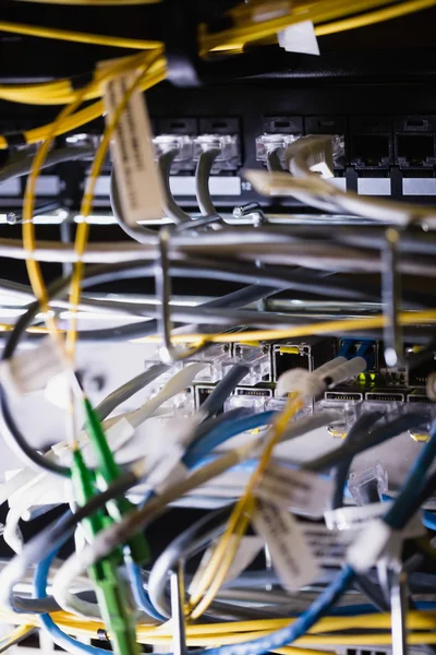 Ethernet in Buchse angeschlossen — Stockfoto