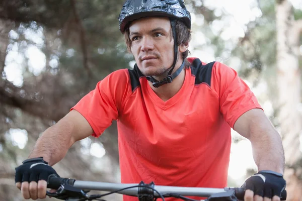 Bicicleta ciclista de montaña masculina en el bosque —  Fotos de Stock