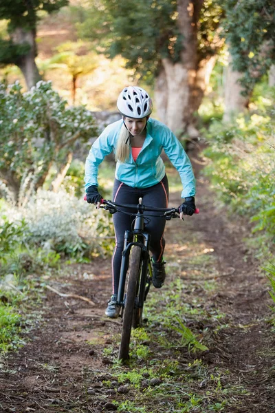 Kadın dağ bisikletçinin binicilik bisiklet ormanda — Stok fotoğraf