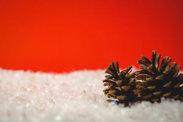 Two pine cone on snow — Stock Photo, Image