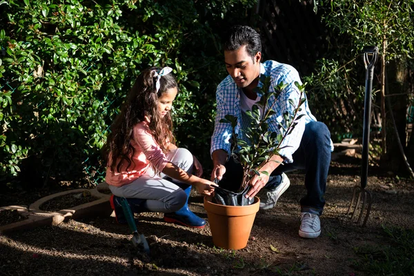 Padre e hija encapsulando una planta en maceta — Foto de Stock