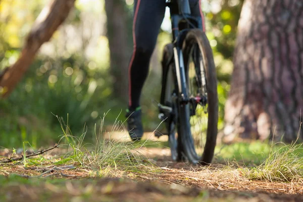 Mały przekrój kobiece mountain biker jazda rowerowa — Zdjęcie stockowe