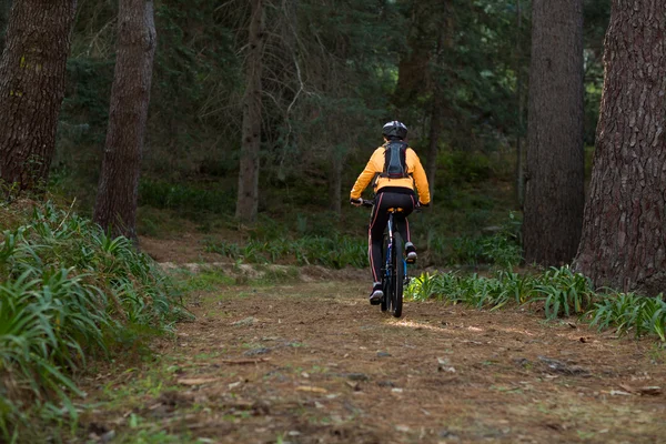 Female biker cycling in countryside — Stock Photo, Image