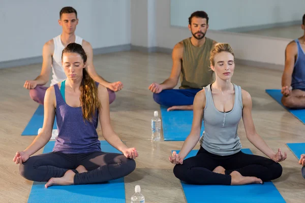 Bir grup insan yoga gerçekleştirme — Stok fotoğraf