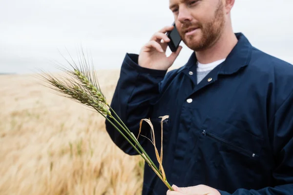 Farmer examining crops while talking on phone — Stock Photo, Image