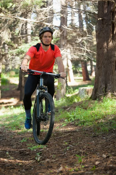 Mężczyzna mountain biker jazdy na rowerze w lesie — Zdjęcie stockowe