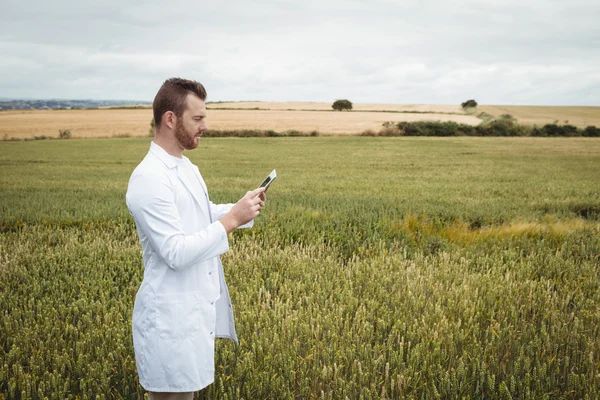 Агрономіст використовує цифровий планшет у полі — стокове фото