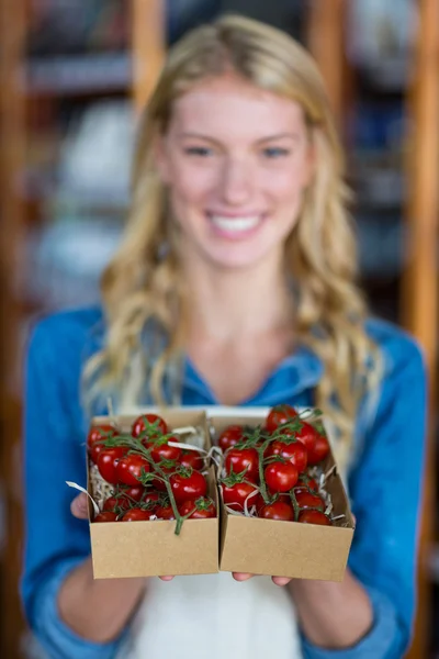 Personnel tenant boîte de tomates cerises — Photo