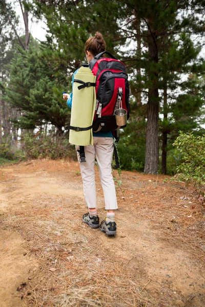 Randonneuse dans la forêt — Photo