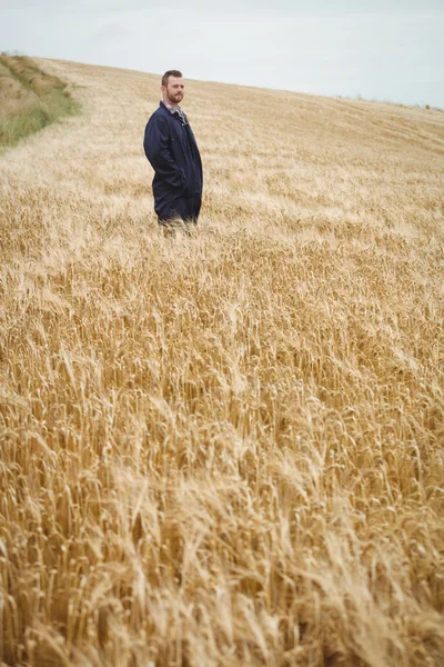 Bauer steht auf dem Feld — Stockfoto